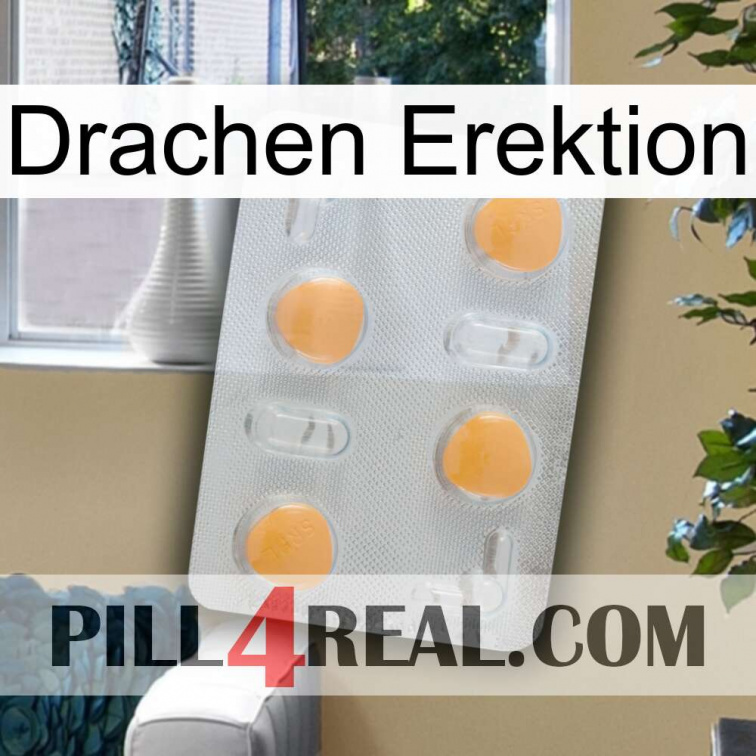 Dragon Erection 24